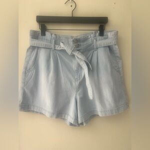 American Eagle Size 16 Shorts